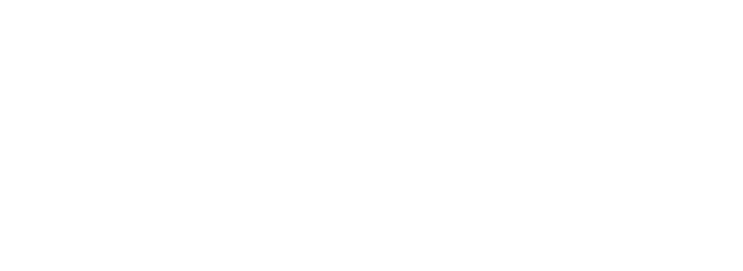 PPA_Horizontal_Color copy-white