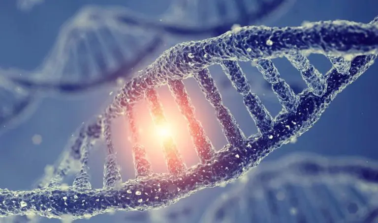 Living with Periodic Paralysis: Unraveling the Mystery